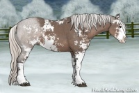 Horse Color:Silver Black Sabino 