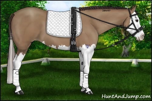 Horse Color:Classic Champagne Splash 