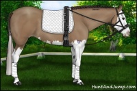 Horse Color:Classic Champagne Splash 