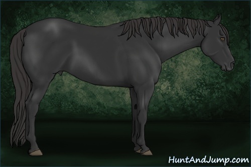 Horse Color:Liver Chestnut Frame 