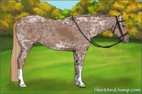 Horse Color:Chestnut Ice 