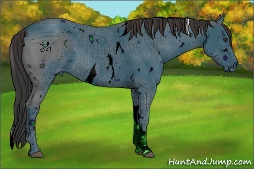 Horse Color:ERROR: UNKNOWN ANOMALY