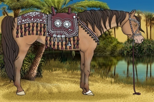 Horse Color:Amber Champagne 