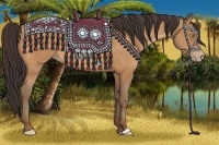 Horse Color:Amber Champagne 