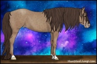 Horse Color:Classic Champagne 