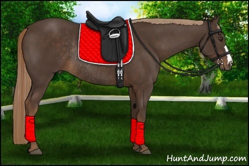 Horse Color:Liver Chestnut Rabicano 