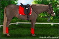 Horse Color:Liver Chestnut Rabicano 