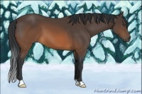 Horse Color:Brown 
