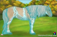 Horse Color:Thunderstruck Palomino 