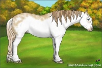 Horse Color:White Spotted Red Dun Splash Frame 