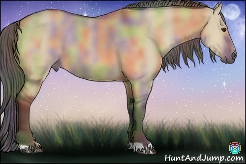 Horse Color:Nacre Buckskin Dun 