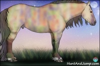 Horse Color:Nacre Buckskin Dun 