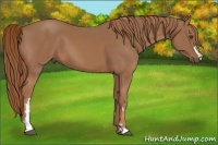 Horse Color:Chestnut Frame