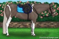 Horse Color:Silver Black Sabino Tobiano