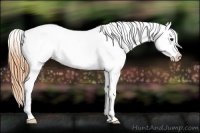 Horse Color:Buckskin Splash Frame Varnish