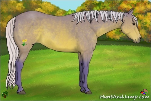 Horse Color:Watercolor Silver Brown