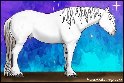 Horse Color:Liver Chestnut Sabino Snowflake VarnishRabicano 