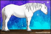 Horse Color:Liver Chestnut Sabino Snowflake VarnishRabicano