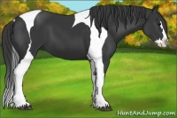 Horse Color:Black Splash Tobiano