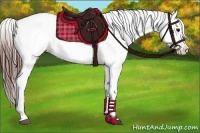 Horse Color:Bay Blanket