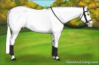 Horse Color:Grullo Chinchilla Tobiano Appaloosa Rabicano