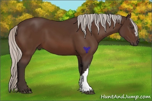 Horse Color:Silver Bay