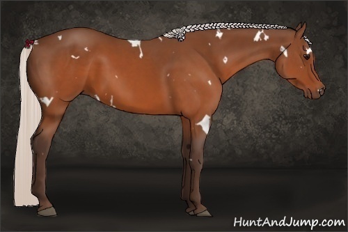 Horse Color:White Spotted Silver Brown