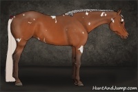 Horse Color:White Spotted Silver Brown