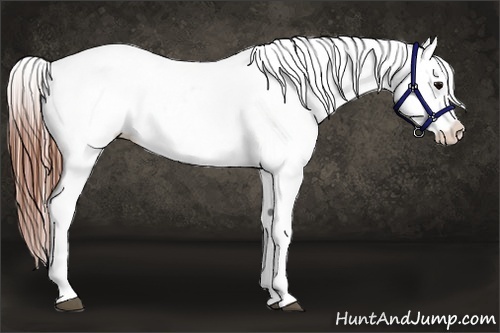Horse Color:Brown Tobiano Varnish