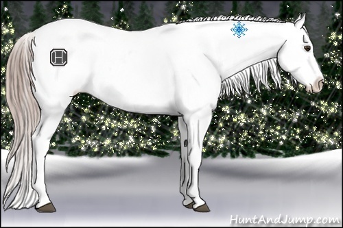 Horse Color:Chocolate Palomino Appaloosa Rabicano 