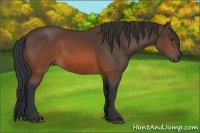 Horse Color:Brown 
