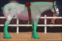 Horse Color:Watercolor Bay Ice 