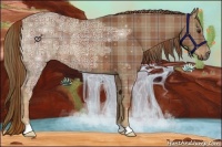 Horse Color:Plaid  Chestnut Ice 
