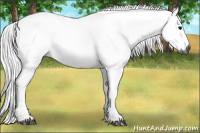 Horse Color:Gray Bay