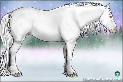 Horse Color:White Spotted Silver Black Chinchilla Appaloosa 