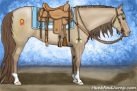 Horse Color:Grullo Pearl 