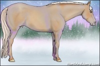 Horse Color:Silver Classic Champagne Frame 