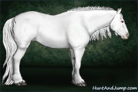 Horse Color:White Spotted Silver Black Chinchilla Appaloosa Rabicano 