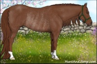 Horse Color:Chestnut Rabicano 
