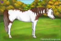 Horse Color:Chestnut Splash Frame Brindle