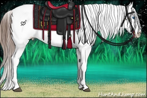 Horse Color:Brown Splash Appaloosa 