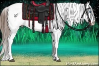 Horse Color:Brown Splash Appaloosa