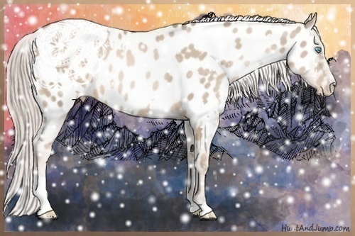 Horse Color:White Spotted Chocolate Palomino Pearl Sabino Blanket Rabicano 