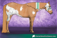 Horse Color:Watercolor Bay Roan Leopard  Brindle