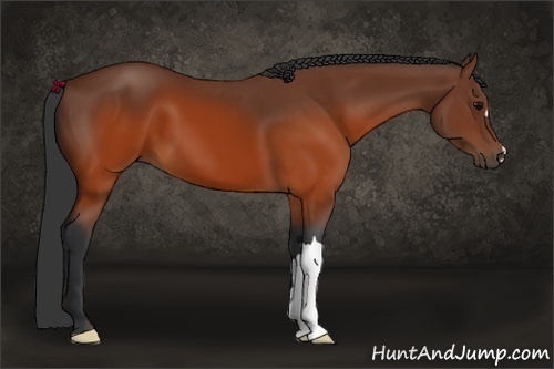 Horse Color:Brown 