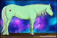 Horse Color:Watercolor Chestnut 