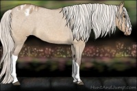 Horse Color:Silver Bay Roan Dun Appaloosa Rabicano