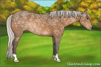 Horse Color:Silver Buckskin Ice 