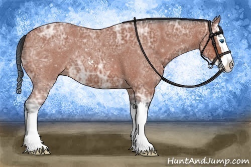 Horse Color:Bay Ice Roan Sabino Splash 