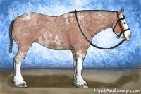 Horse Color:Bay Ice Roan Sabino Splash